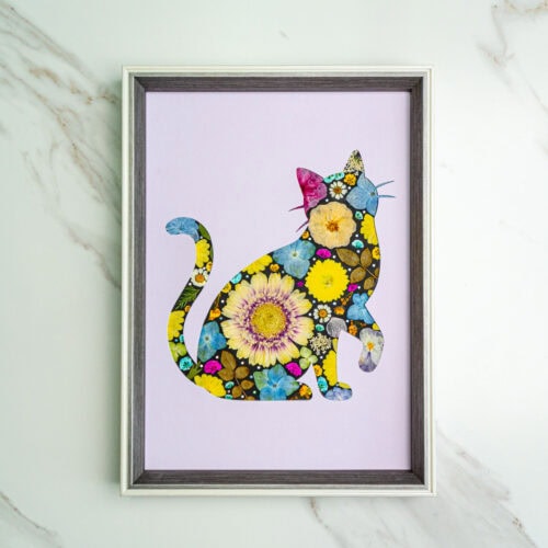 Lively Cat: Sun Whisper