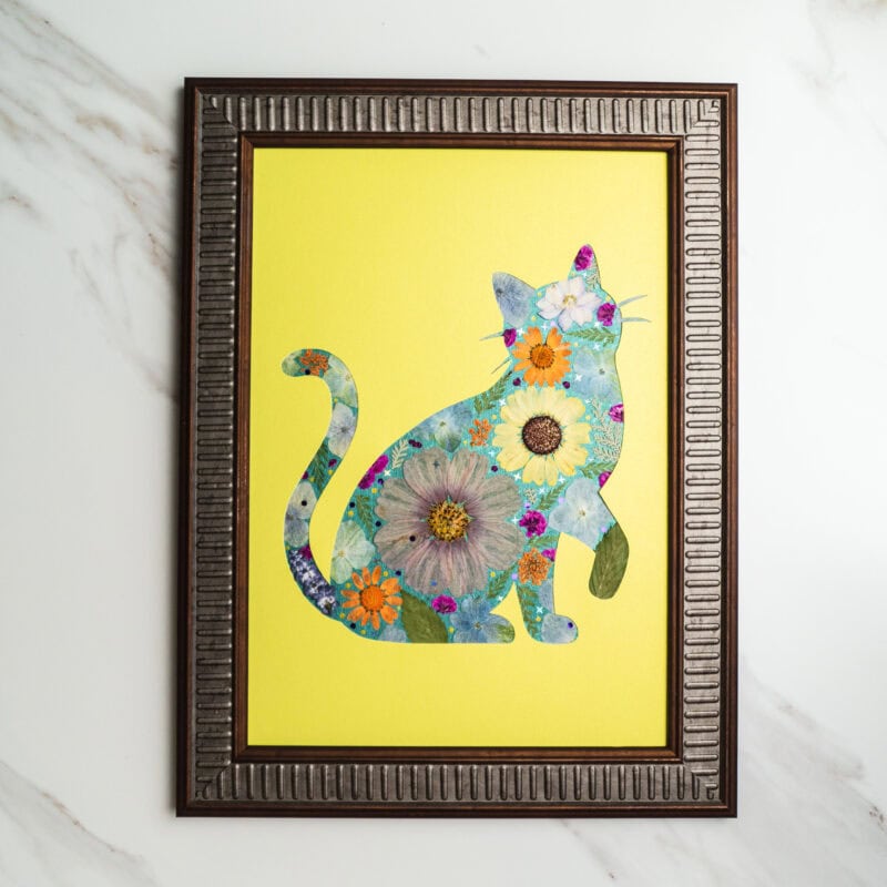 Lively Cat: Sunny Bloom