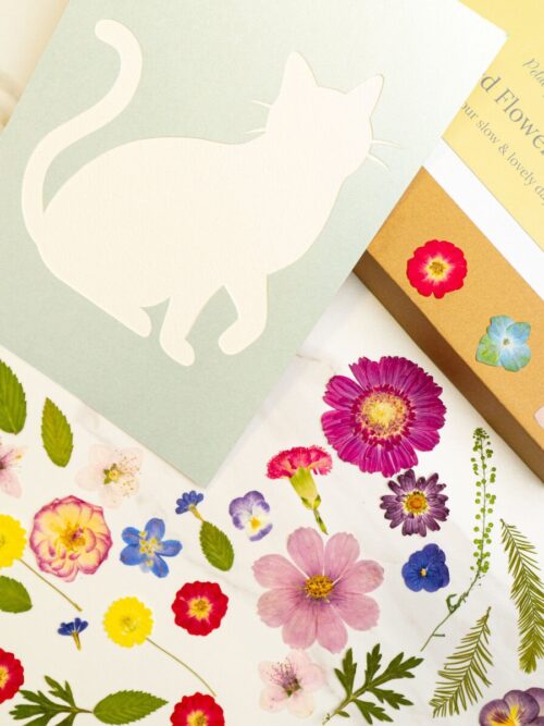 Colorful paper flower art kit with floral stickers and a cat silhouette card for creative craft projects and DIY home decor.