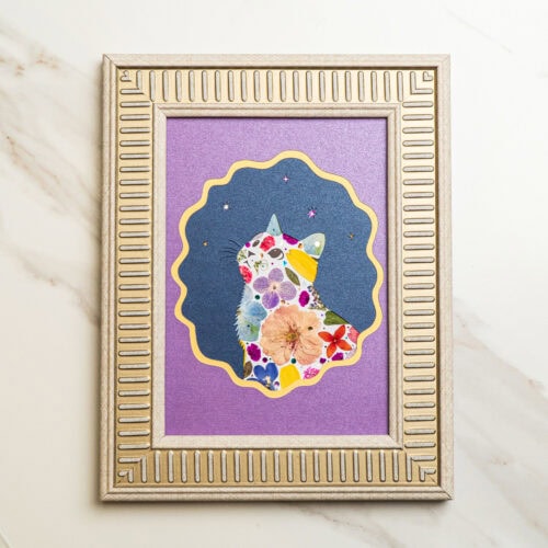 Looking Up Cat: Dream Star