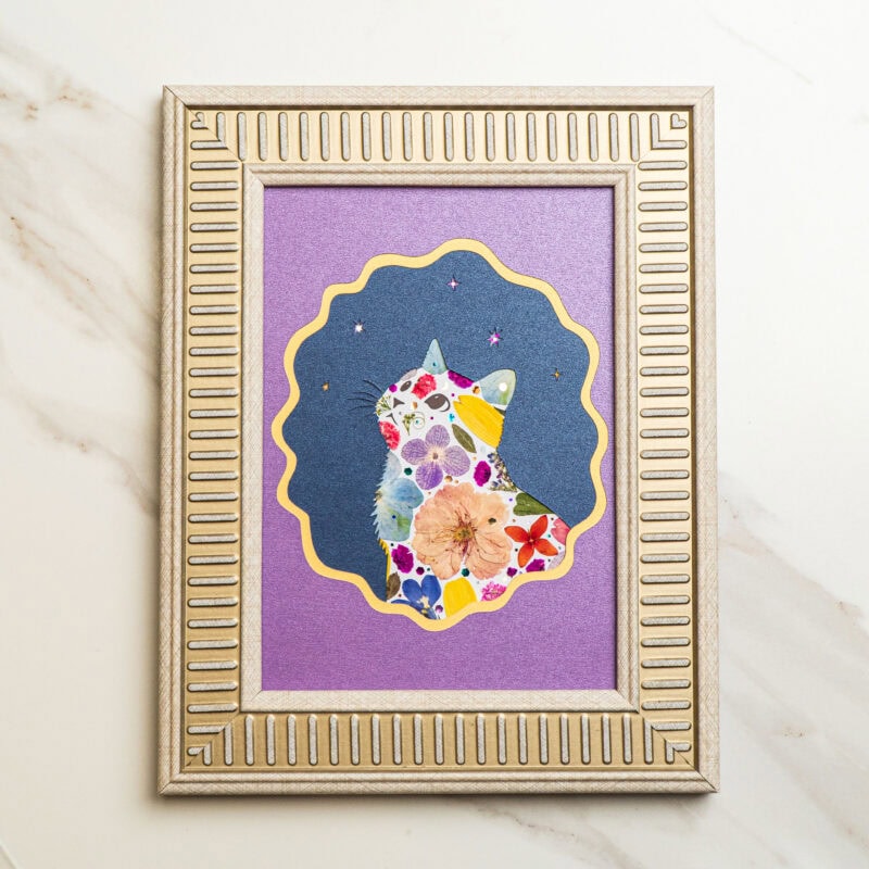 pressed_flower_art_kit_cat_looking_up_dream_star Looking Up Cat: Dream Star