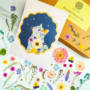 Pressed flower art print featuring a floral cat design with colorful, preserved flowers on a dark blue background. Perfect for botanical decor and nature-inspired wall art.