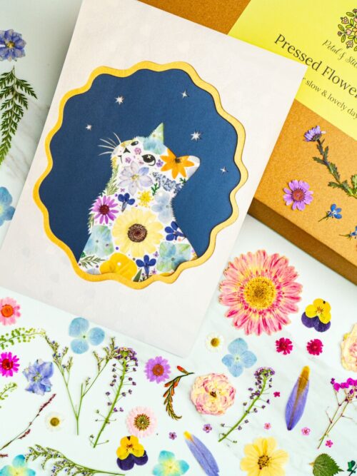 pressed_flower_art_kit_cat_looking_up_finished Pressed flower art print featuring a floral cat design with colorful, preserved flowers on a dark blue background. Perfect for botanical decor and nature-inspired wall art.