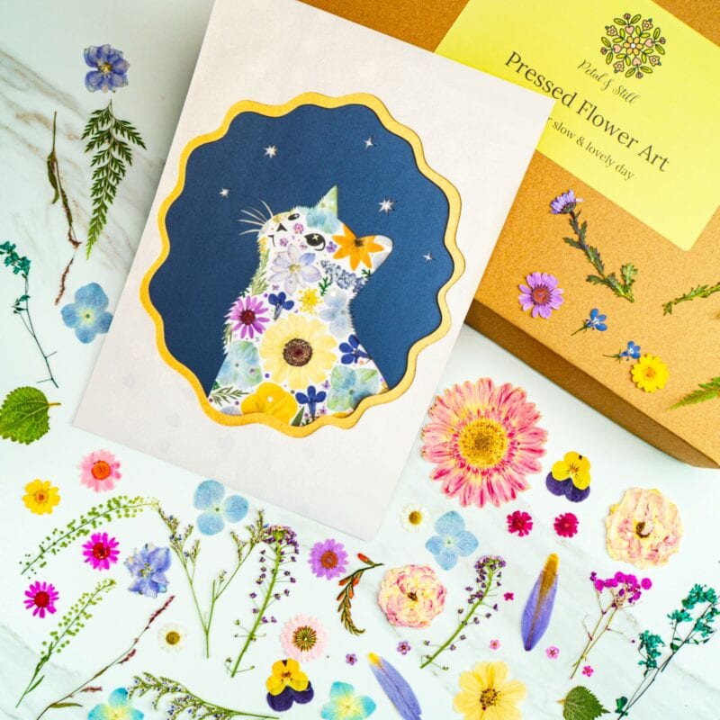 Pressed flower art print featuring a floral cat design with colorful, preserved flowers on a dark blue background. Perfect for botanical decor and nature-inspired wall art.