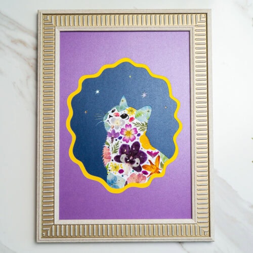 Looking Up Cat – Star Bloom