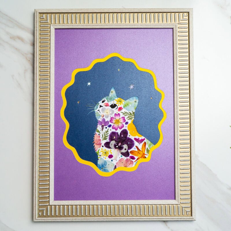 pressed_flower_art_kit_cat_looking_up_star_bloom Looking Up Cat – Star Bloom