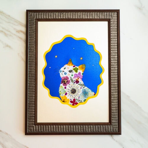 Looking Up Cat: Starlit Wish