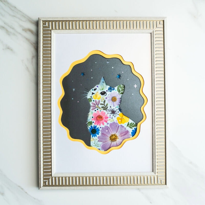 Looking Up Cat – Starry Gaze