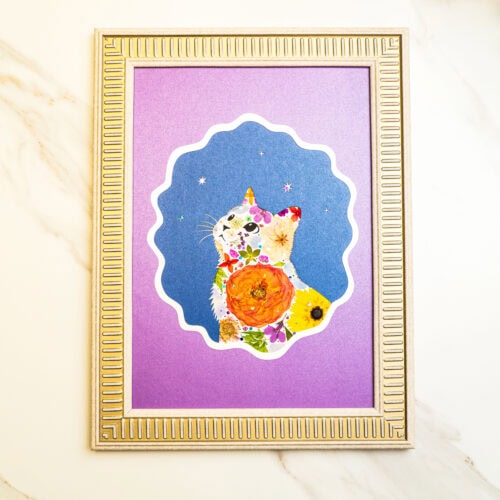 Looking Up Cat – Sunset Bloom