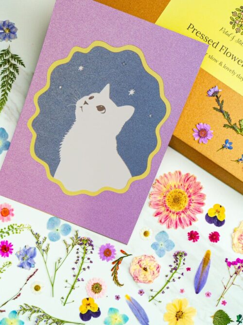- Whimsical cat illustration on lavender background with stars, perfect for greeting cards and stationery, embodying playful and dreamy art style.