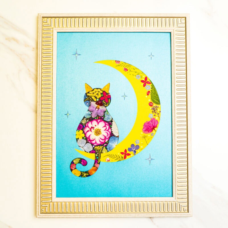 Moon Cat: Dreamy Moonlight