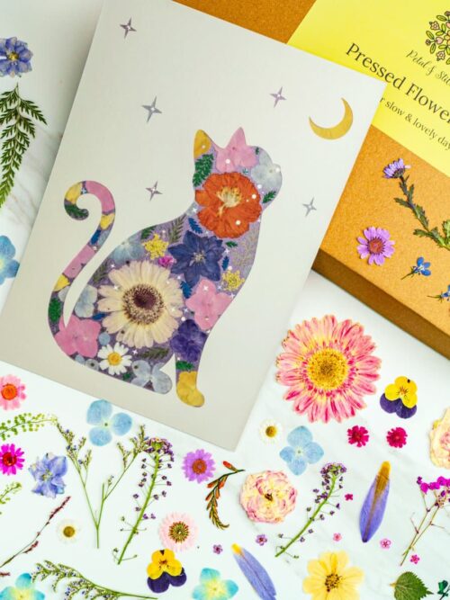 Pressed flower art featuring a detailed floral cat silhouette, vibrant botanical designs, and colorful flower arrangements for decorative and craft purposes.