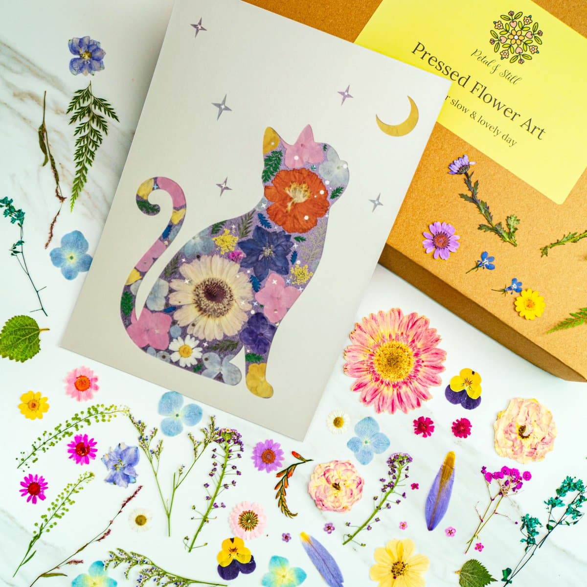 Pressed flower art featuring a detailed floral cat silhouette, vibrant botanical designs, and colorful flower arrangements for decorative and craft purposes.