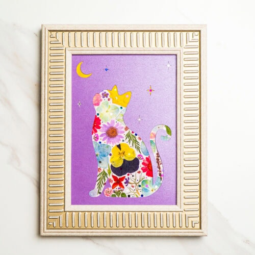 Moonlit Cat: Star Crown