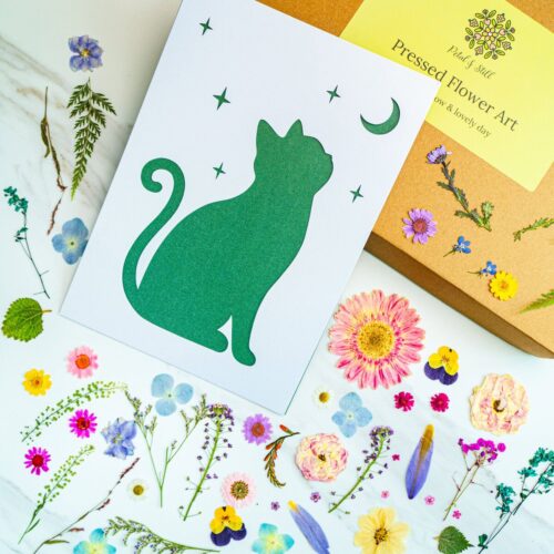 Pressed flower art by Petal & Still, featuring beautifully preserved blooms and botanical designs for home decor and gifts.