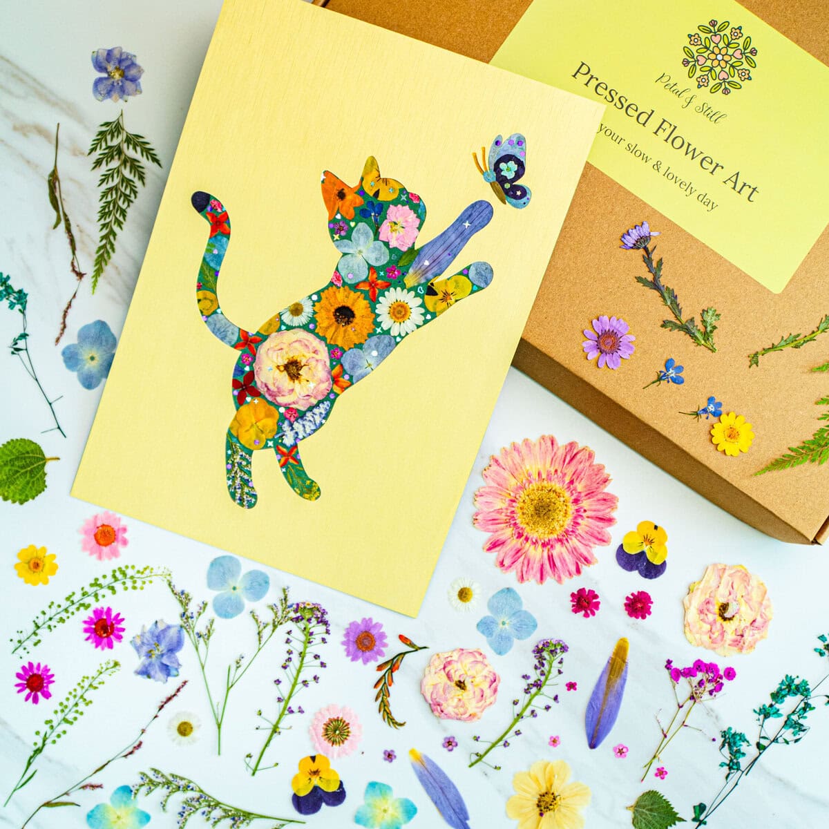 Colorful pressed flower art handmade with vibrant, natural floral designs, perfect for home decor or gift-giving, showcasing intricate pressed flower artwork from Petal & Still.