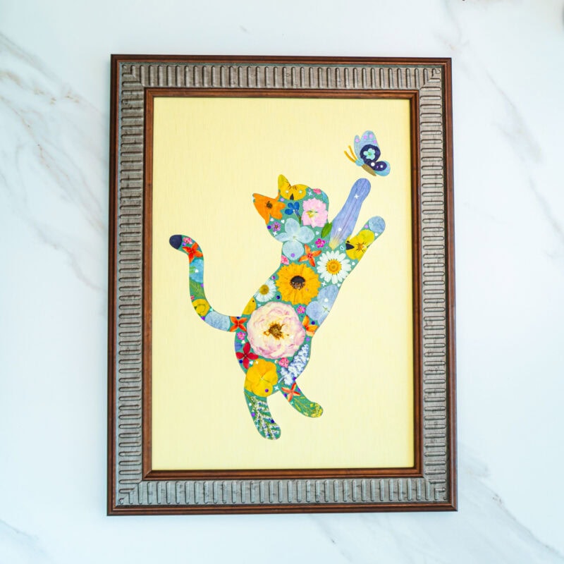 Playful Cat – Sunny Catch