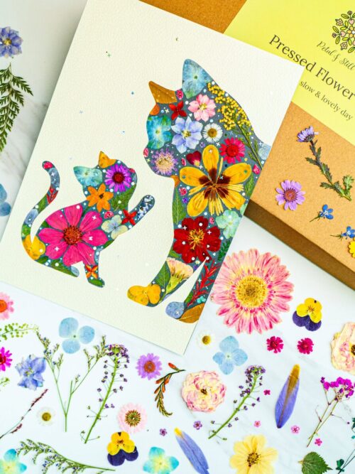 pressed_flower_art_kit_cat_tender_finished Flower collage art of a cat and dog with vibrant floral patterns, botanical pressed flower art, handmade floral illustration, petal & still botanical artwork for home decor and gifts.