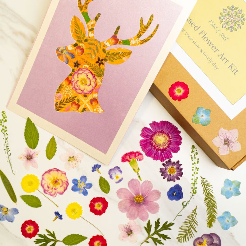pressed_flower_art_kit_deer_gentle_finished Vibrant floral pressed flower art kit by Petal & Still, perfect for DIY projects, journaling, or gifting, featuring beautifully preserved flowers and botanical elements.