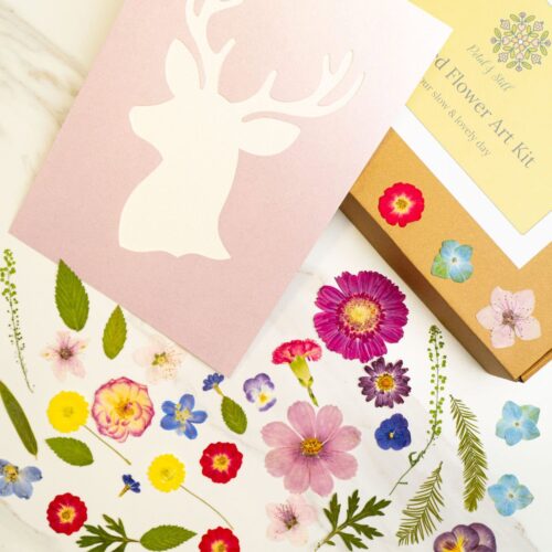 Vibrant pressed flower and botanical sticker collection with a Flower Art Kit from Petal & Still for creative floral designing and DIY crafts.
