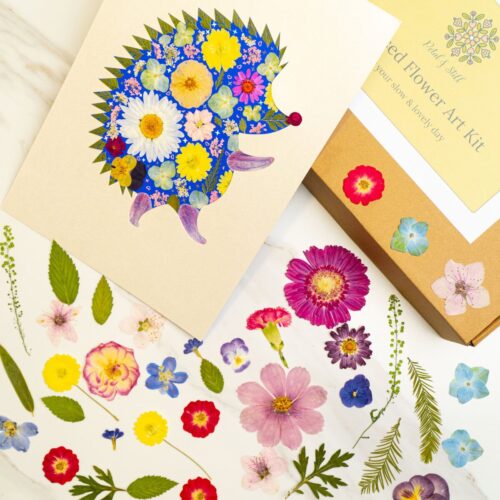 Pressed flower art and DIY flower kit for home decor and craft projects, featuring vibrant floral designs and eco-friendly aesthetics. Perfect for flower lovers and creative enthusiasts.