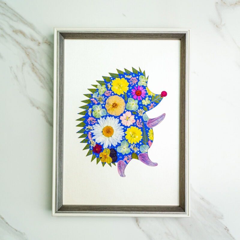 Hedgehog Sunny – Morning Walk