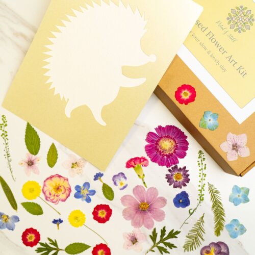 Dried flower seed packet and botanical floral stickers for crafting, gift wrapping, and decorating, emphasizing natural floral elements and eco-friendly art supplies for gardeners and crafters.