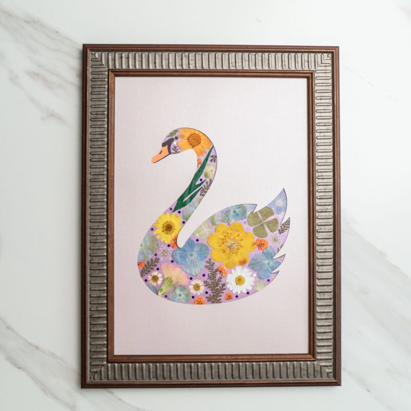 pressed_flower_art_kit_swan_dreamy_golden_dawn Dreamy Swan: Golden Dawn