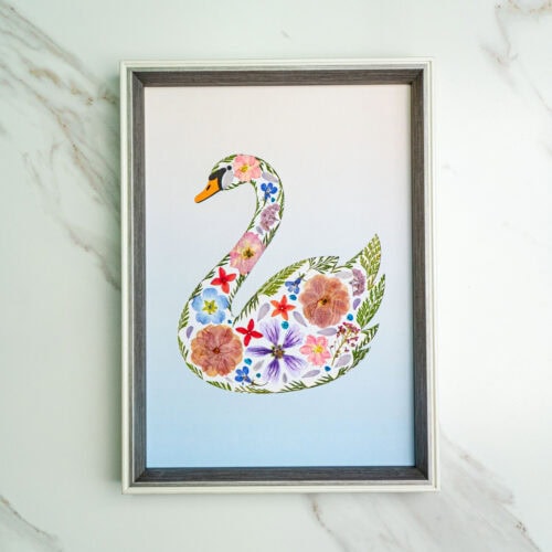 Dreamy Swan: Morning Mist