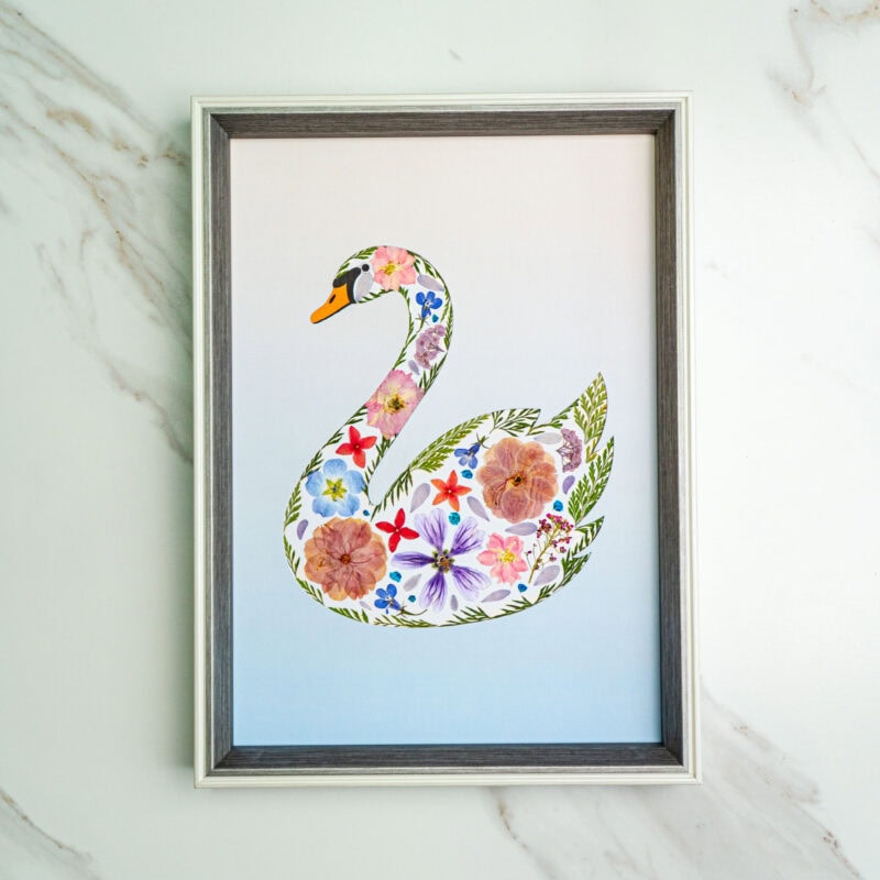 pressed_flower_art_kit_swan_dreamy_morning_mist Dreamy Swan: Morning Mist