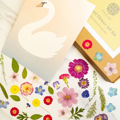 Colorful pressed flower art kit with floral stickers and botanical illustrations for DIY floral crafts and creative projects. Perfect for nature-inspired art and gift embellishments.