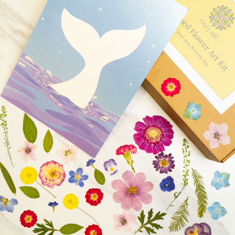 DIY Art Kit: Dreamy Whale