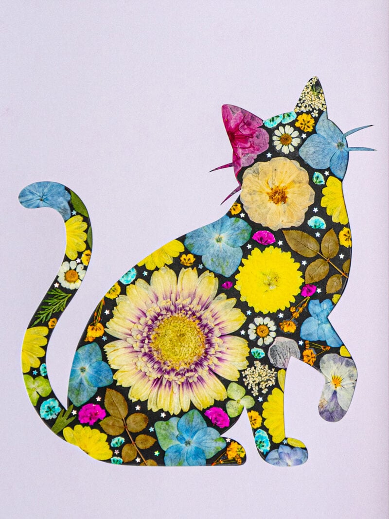 pressed_flower_art_kit_cat_lively_sun_whisper_detail Lively Cat: Sun Whisper 8.3"×11.7"