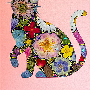 Lively Cat: Vivid Rest 5"×7"