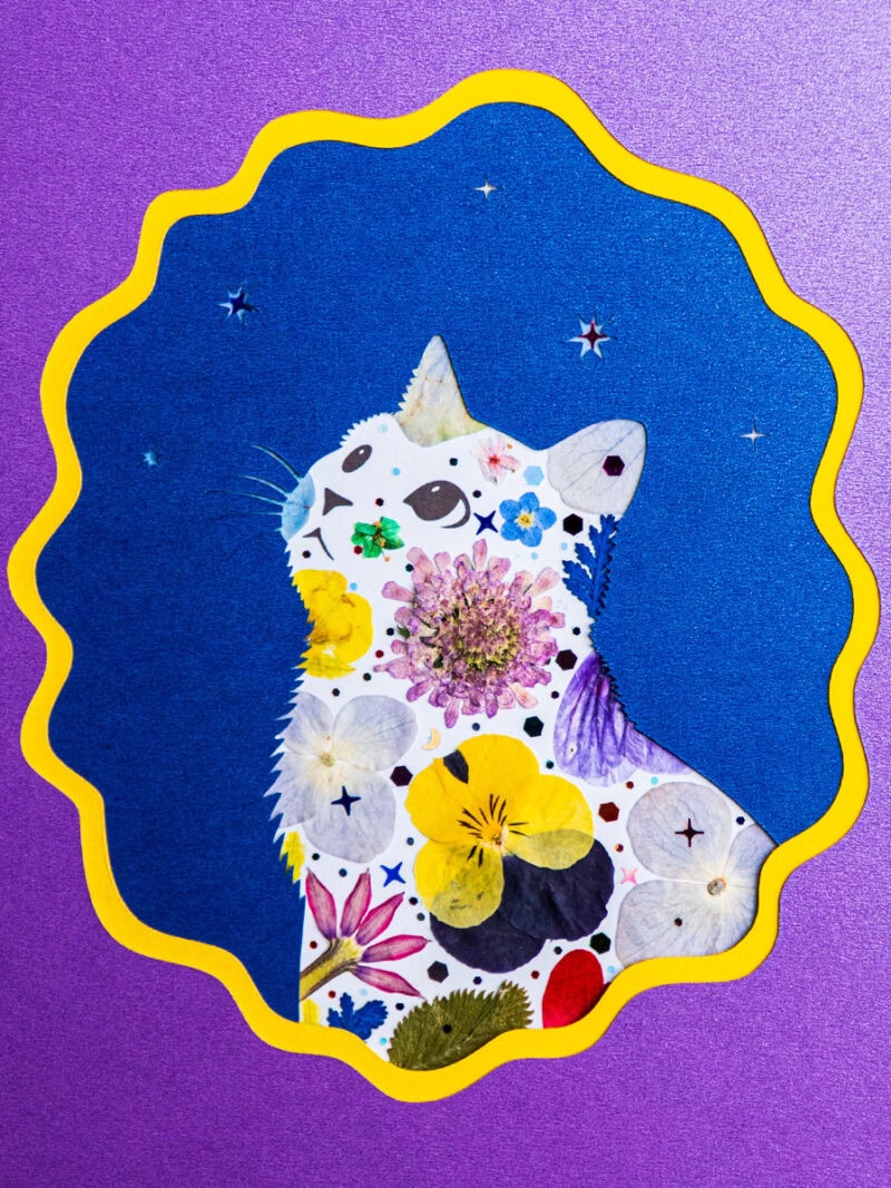 Looking Up Cat: Cosmic Muse 5"×7"