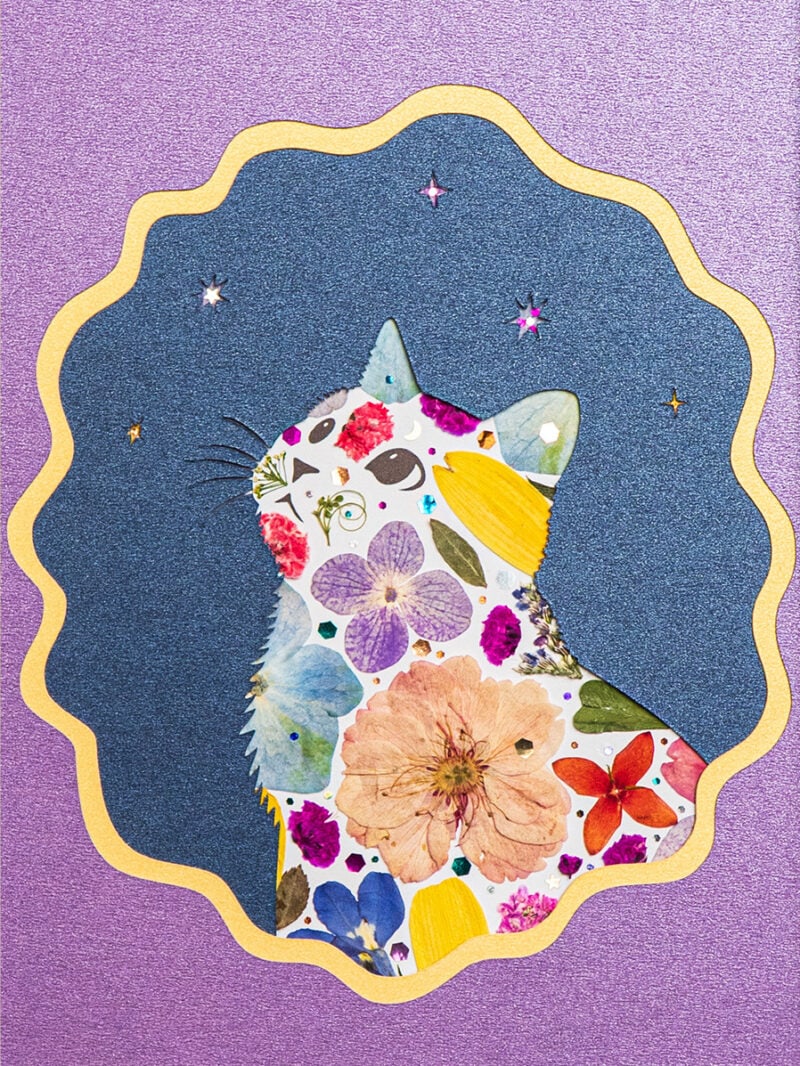 pressed_flower_art_kit_cat_looking_up_dream_star_detail Looking Up Cat: Star Bloom 5"×7"