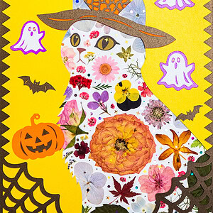 pressed_flower_art_kit_cat_witchy_pumpkin_spell_detail Witchy Cat: Pumpkin Spell 8.3"×11.7"