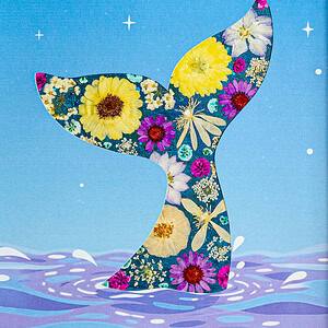 pressed_flower_art_kit_whale_dreamy_star_wave_detail Dreamy Whale: Star Wave 8.3"×11.7"