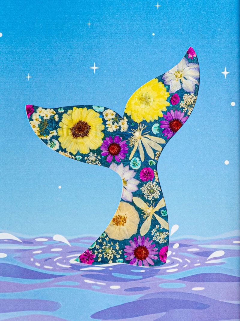 pressed_flower_art_kit_whale_dreamy_star_wave_detail Dreamy Whale: Star Wave 8.3"×11.7"