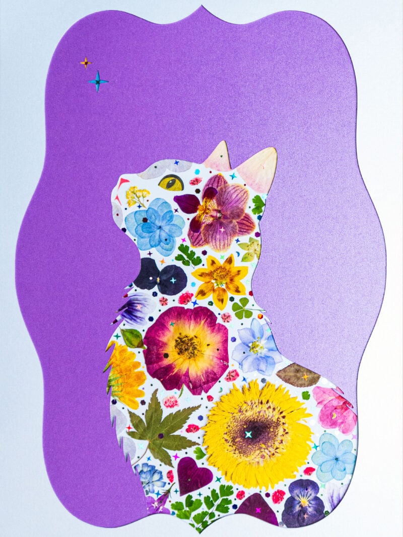 Sky Cat — Requested by the 20k Community