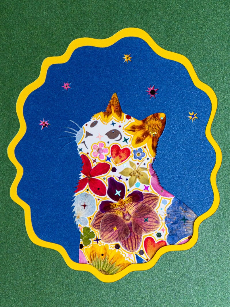 pressed_flower_art_kit_cat_looking_up_woodland_heart_detail Looking Up Cat — 2025 Best Seller