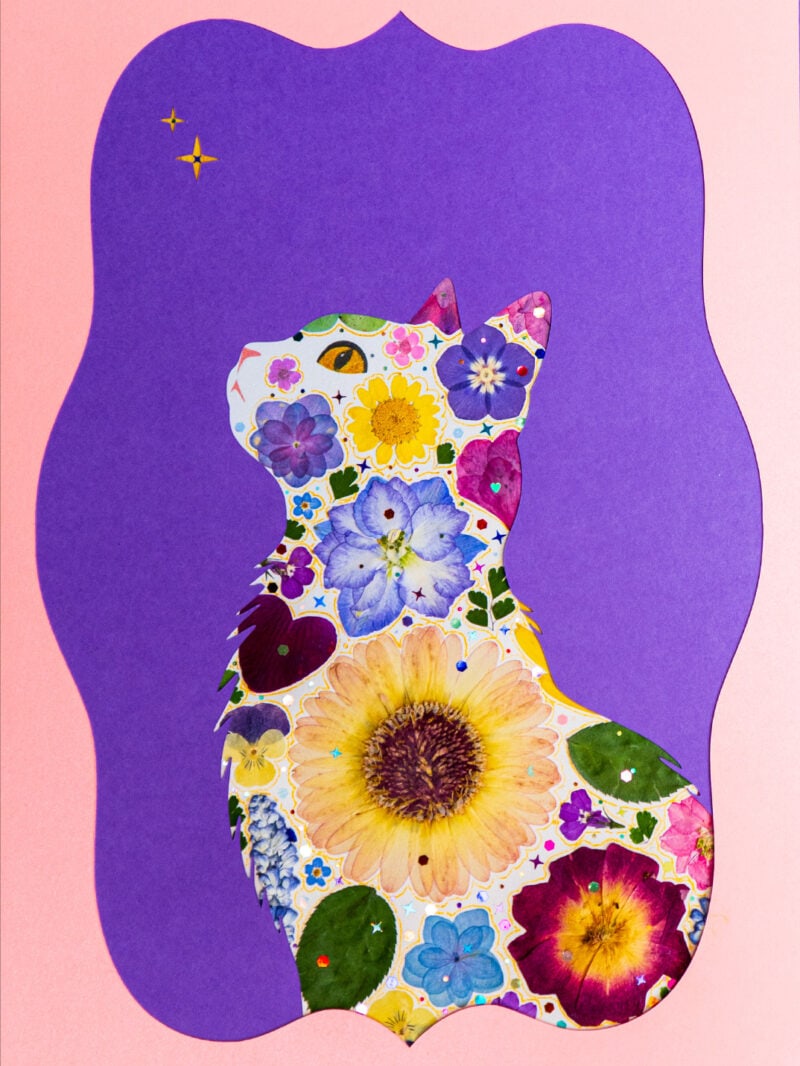 pressed_flower_art_kit_cat_sky_indigo_echo_detail Sky Cat: Indigo Echo 8.3"×11.7"